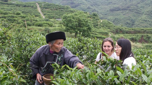 湖南省茶業集團股份有限公司產教融合校企合作三年規劃（2022-2024年）